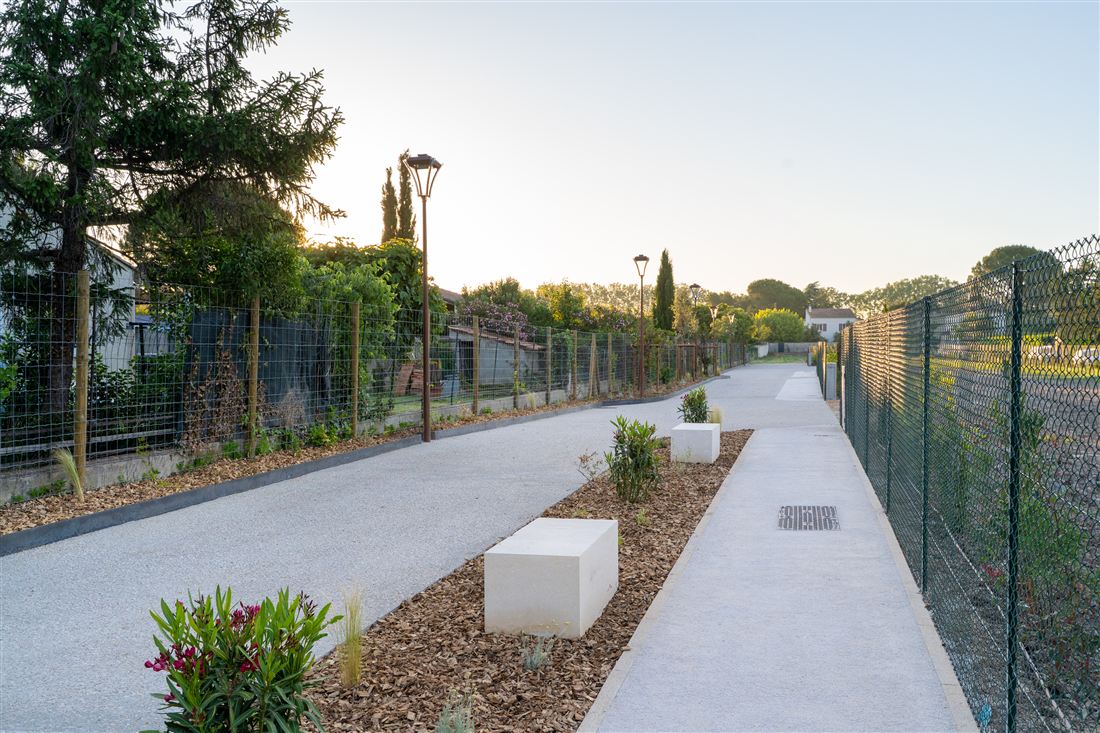 Allée du lotissement en béton désactivé, éclairage et plantations au coucher du soleil
